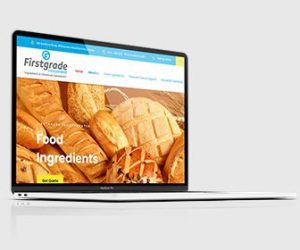 Custom Web Development Custom Web Development